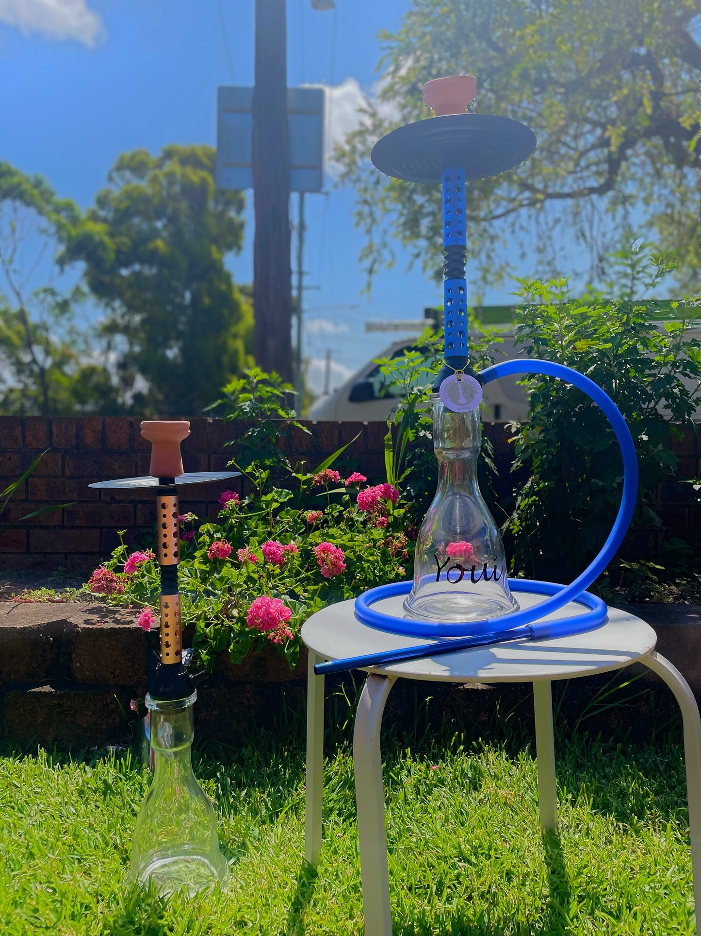 Polka Dot Shisha